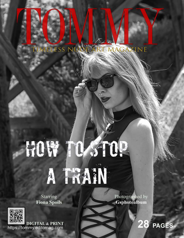 Cover Fiona Spoils - How to Stop a Train