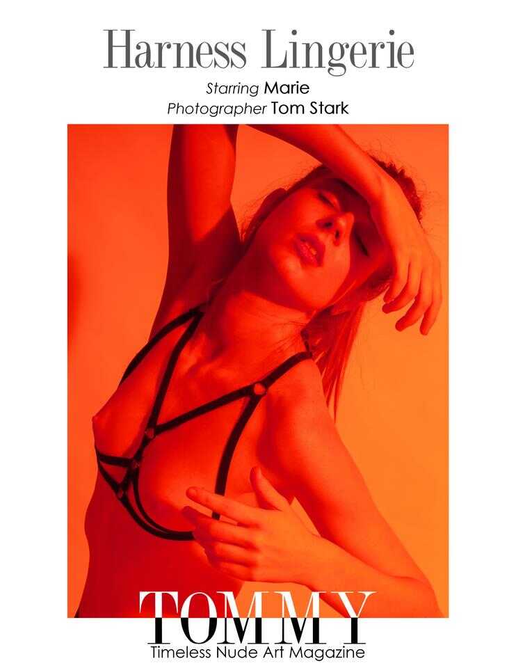 marie.harness.lingerie