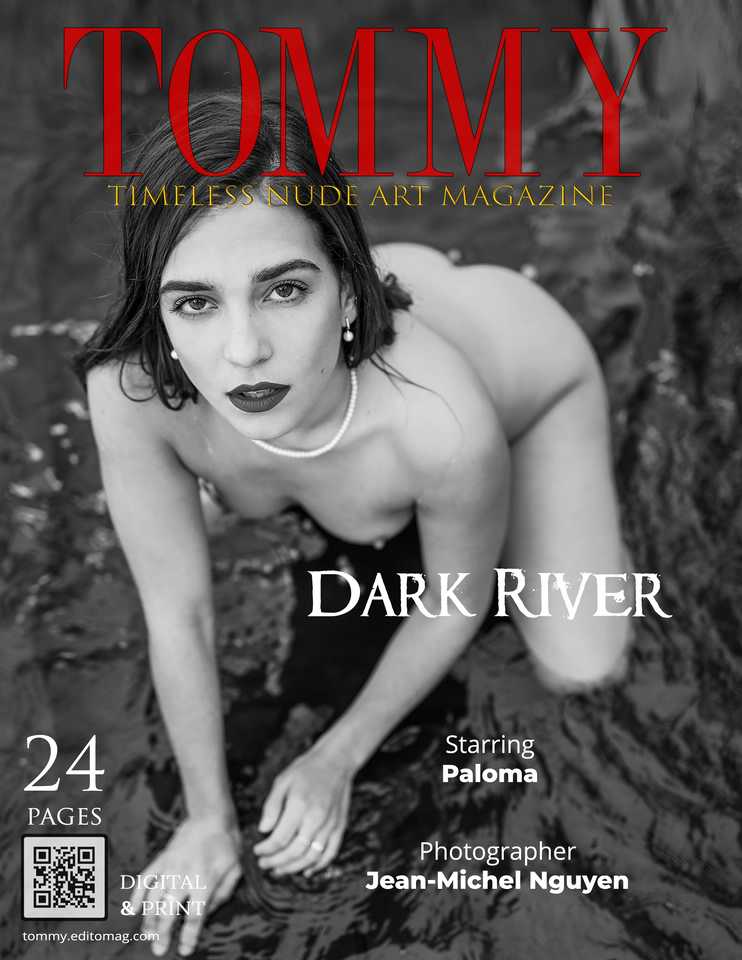 Cover Jean-Michel Nguyen - Dark River