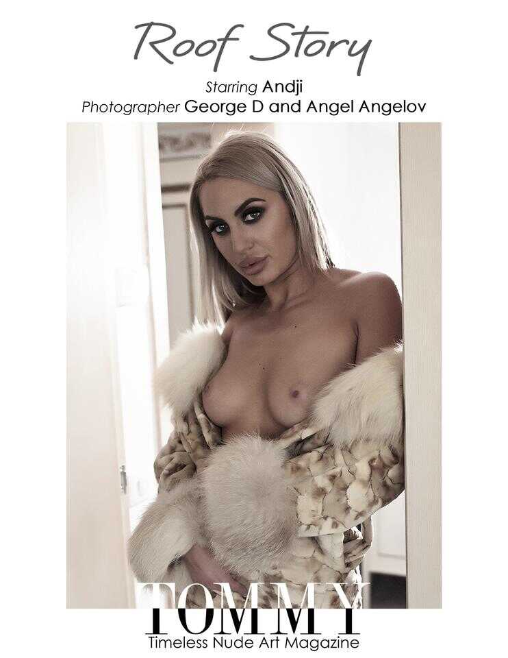 Back cover George D, Angel Angelov - Roof Story