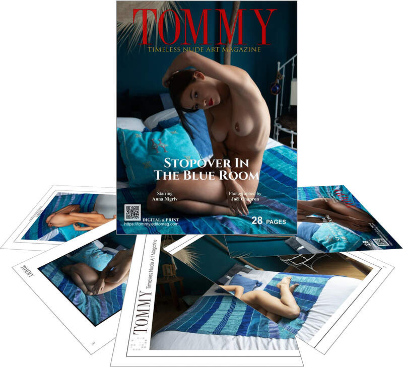Anna Nigriv - Stopover In The Blue Room perspective covers - Tommy Nude Art Magazine