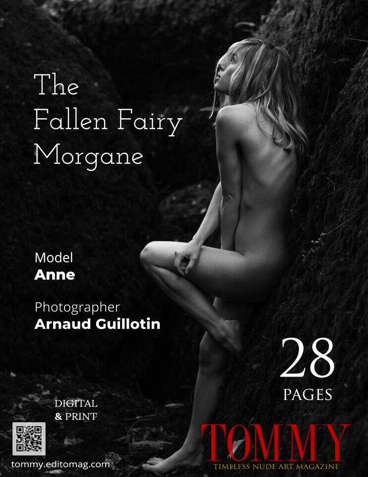 Back cover Arnaud Guillotin - The Fallen Fairy Morgane