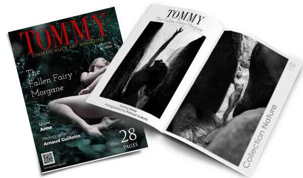 Anne - The Fallen Fairy Morgane perspective covers - Tommy Nude Art Magazine