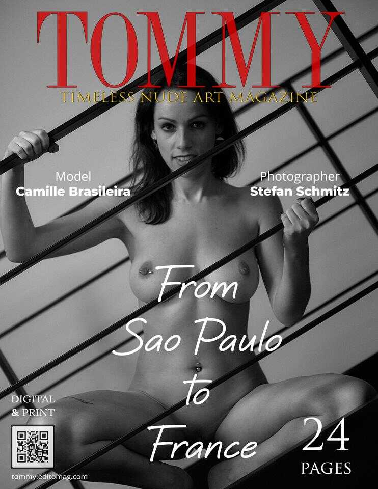 Cover Stefan Schmitz - From Sao Paulo to France