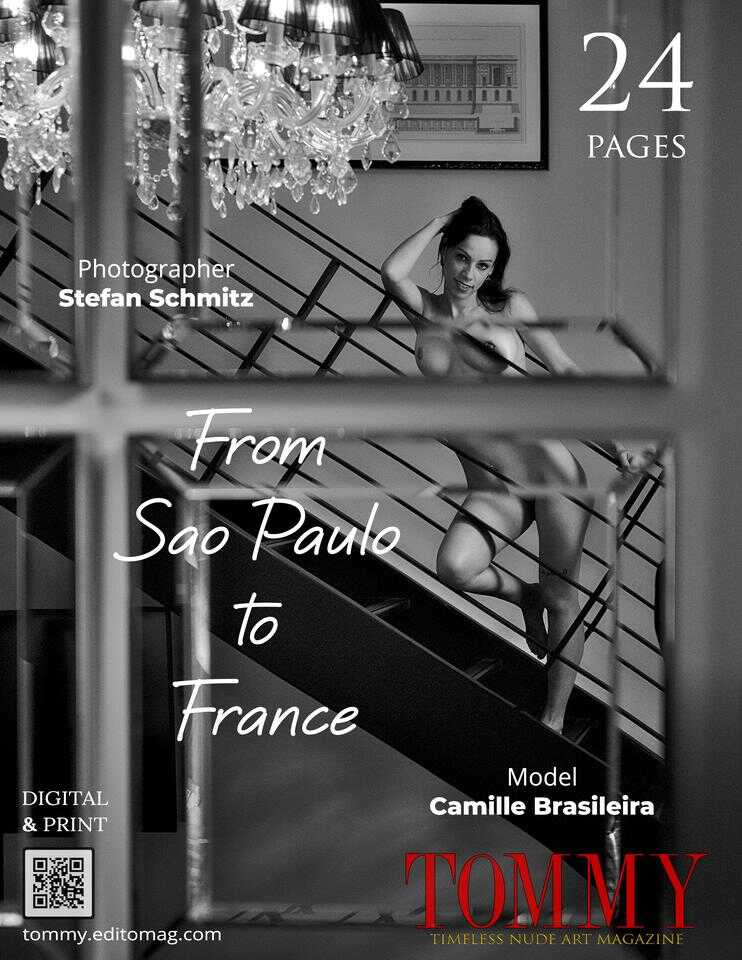 Back cover Stefan Schmitz - From Sao Paulo to France