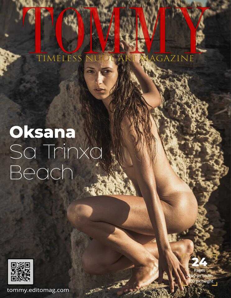 Cover  - Sa Trinxa Beach