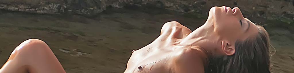 The Siren header