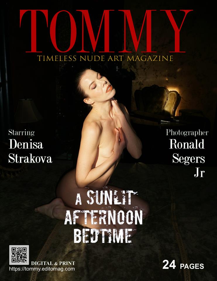 Denisa Strakova&nbsp;&nbsp;.&nbsp;&nbsp;A Sunlit Afternoon Bedtime - Cover