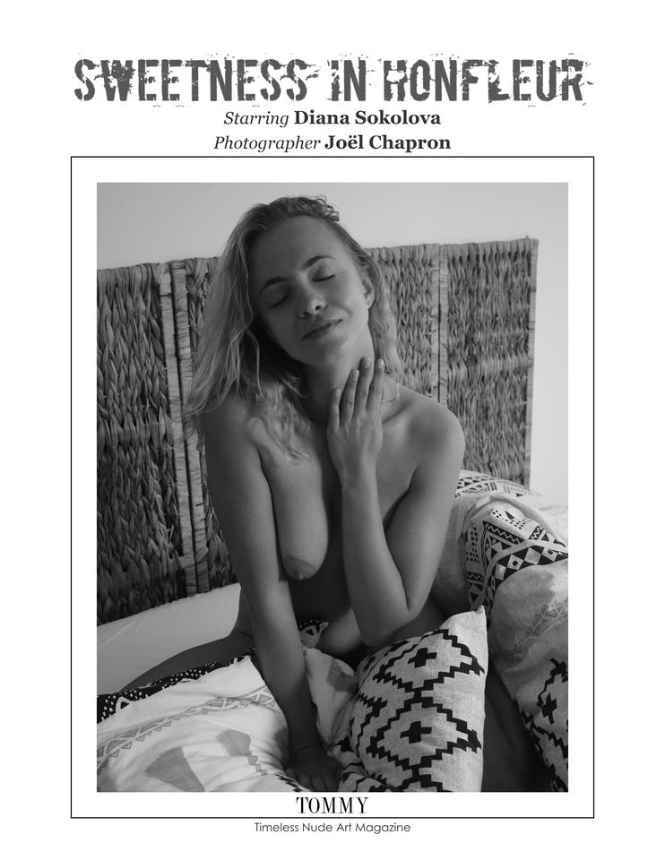 Back cover Diana Sokolova - Sweetness in Honfleur