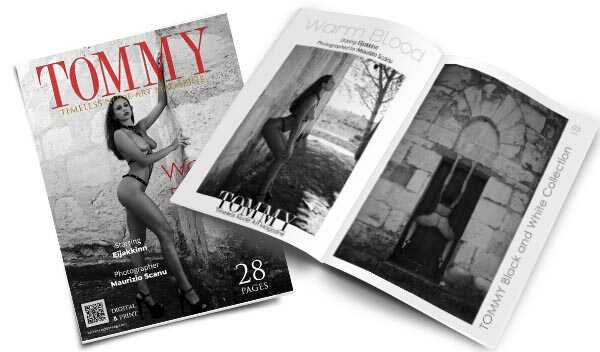 Eijakkinn - Warm Blood perspective covers - Tommy Nude Art Magazine