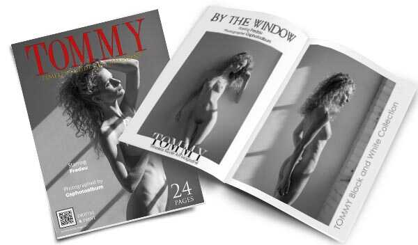 Fredau - By the Window perspective covers - Tommy Nude Art Magazine