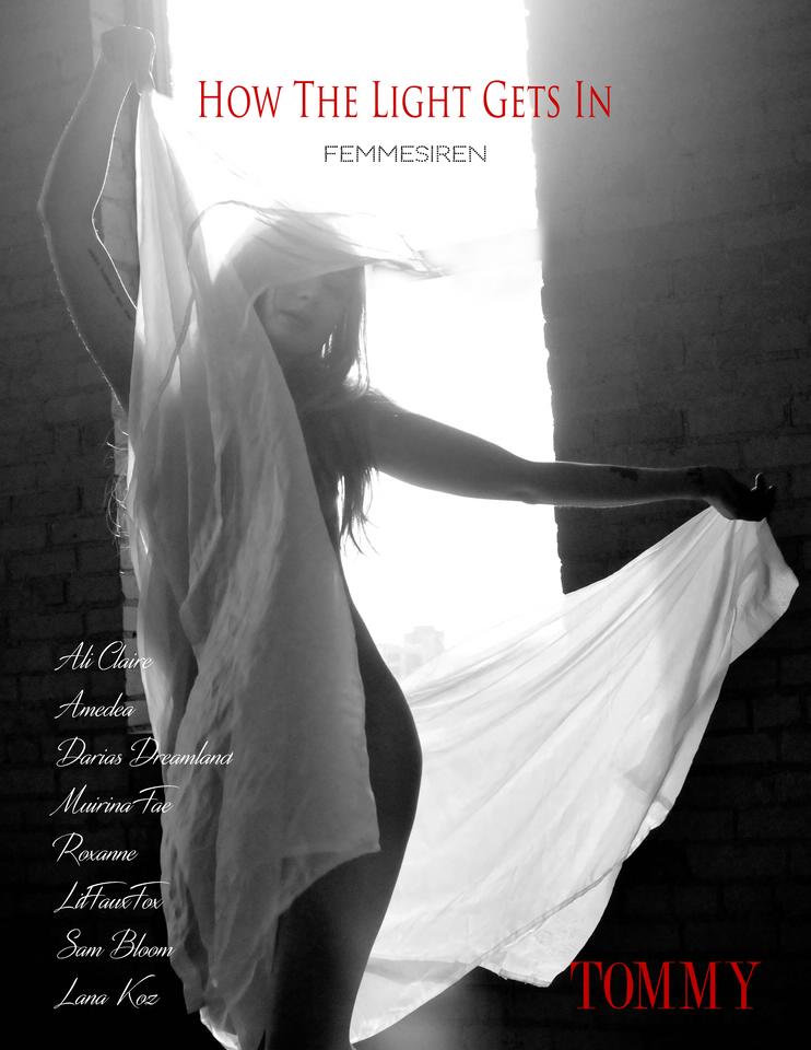 Back cover Femmesiren - How The Light Gets In