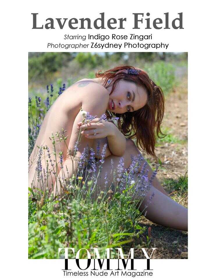 Back cover Indigo Rose Zingari - Lavender Field
