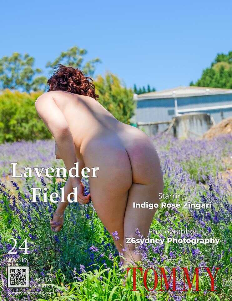 Back cover Z6sydney Photography - Lavender Field