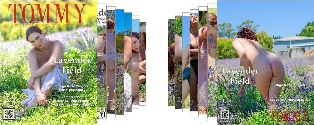 Indigo Rose Zingari - Lavender Field digital - Tommy Nude Art Magazine