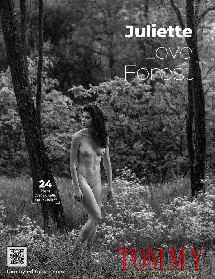 Back cover Juliette Hardy - Love Forest