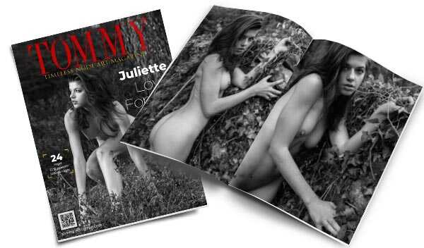 Juliette Hardy - Love Forest perspective covers - Tommy Nude Art Magazine