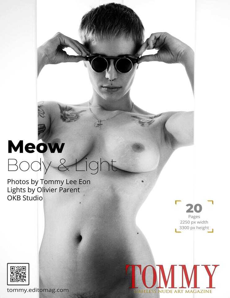 meow.body.and.light
