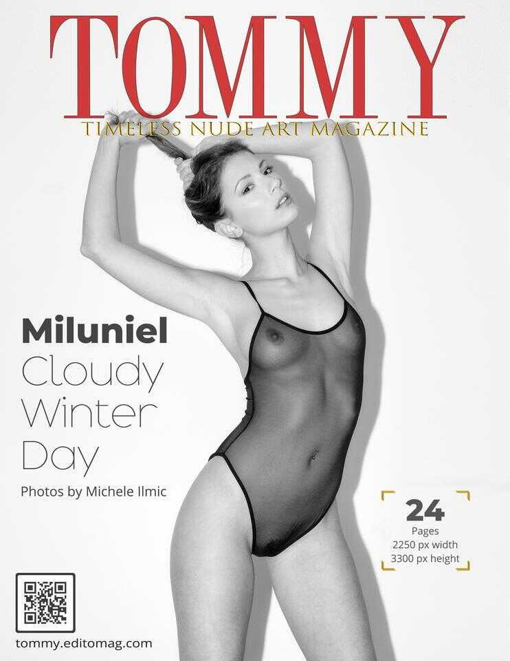 Cover Michele Ilmic - Cloudy Winter Day
