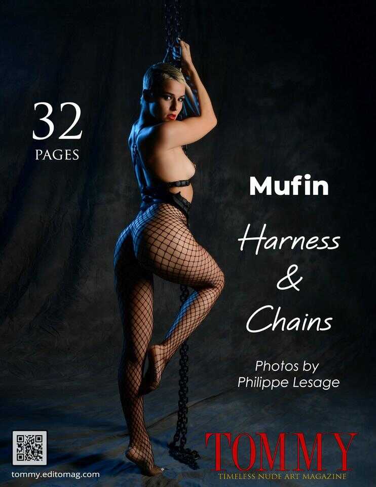 Back cover Mufin - Harness And Chains