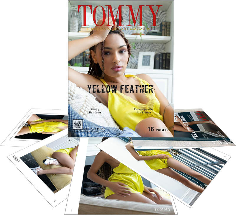 Ray Lynn - Yellow Feather perspective covers - Tommy Nude Art Magazine