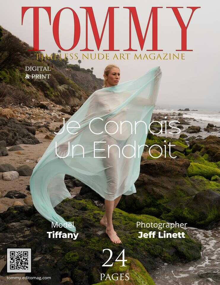 Tiffany - Je Connais Un Endroit cover - Tommy Nude Art Magazine