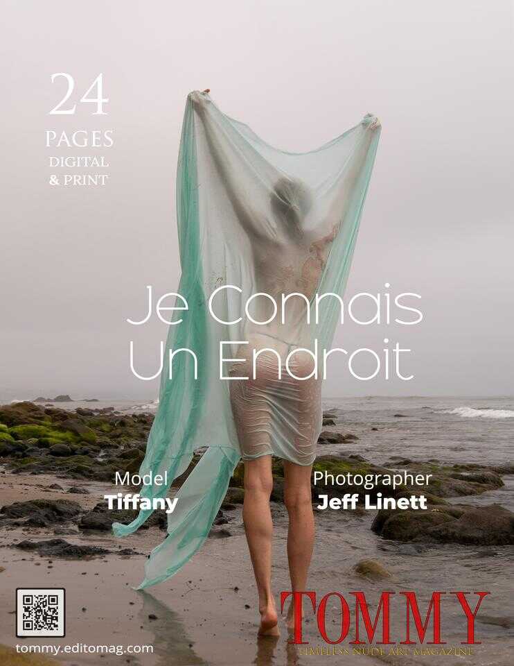 Back cover Jeff Linett - Je Connais Un Endroit