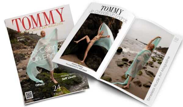 Tiffany - Je Connais Un Endroit perspective covers - Tommy Nude Art Magazine
